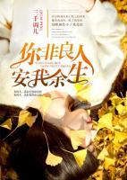 你非良人,安我余生一共多少集
