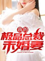 我的极品总裁老婆