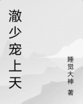 沈少宠上天
