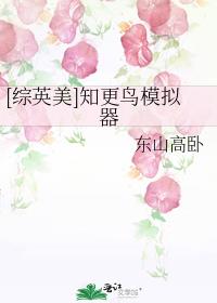 综英美模拟器大师