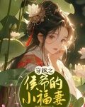穿越之小侯爷当家300章
