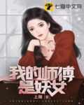 妖女,放开我师傅小说
