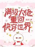 满级大佬重回快穿世界 百度网盘