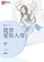 我曾爱你入骨小说