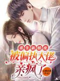 重生新婚夜!偏执大佬被我撩红脸