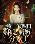 七零：我一家四口和恶奶奶分家了