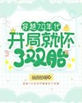 穿越70年代开局就怀了双胎